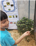 boy enjoying plant display