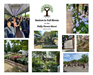 Seniors in Full Bloom social media post with 8 pictures and the senior services graphic of a tree
