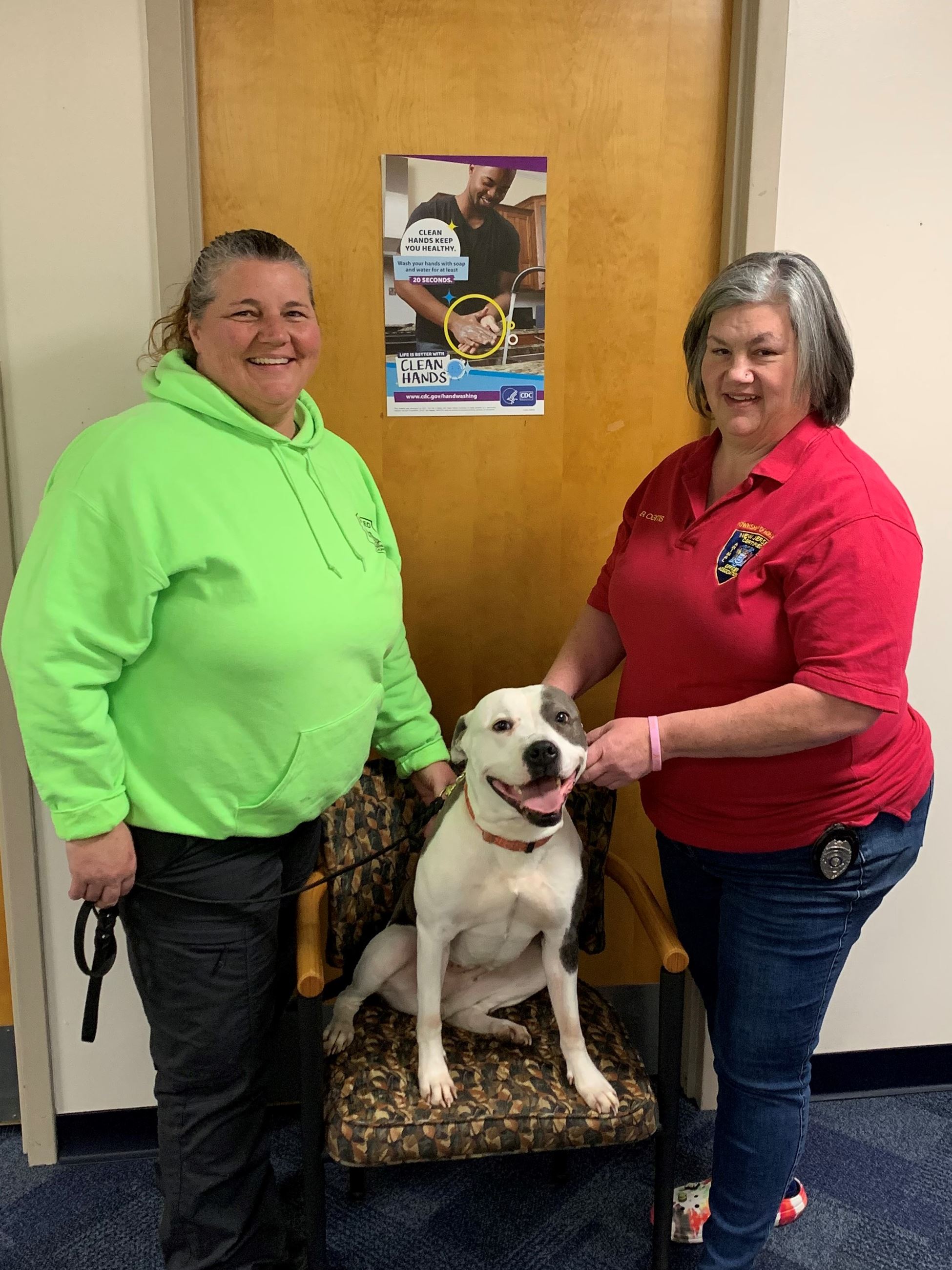 Animal control officers with dollie, a smiling pit bull on a chair