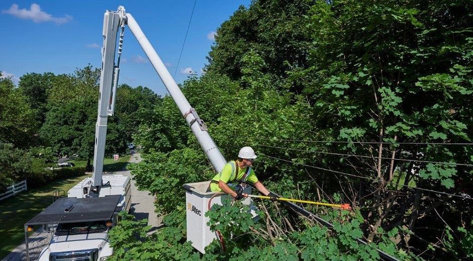 worker in lift truck trimming trees