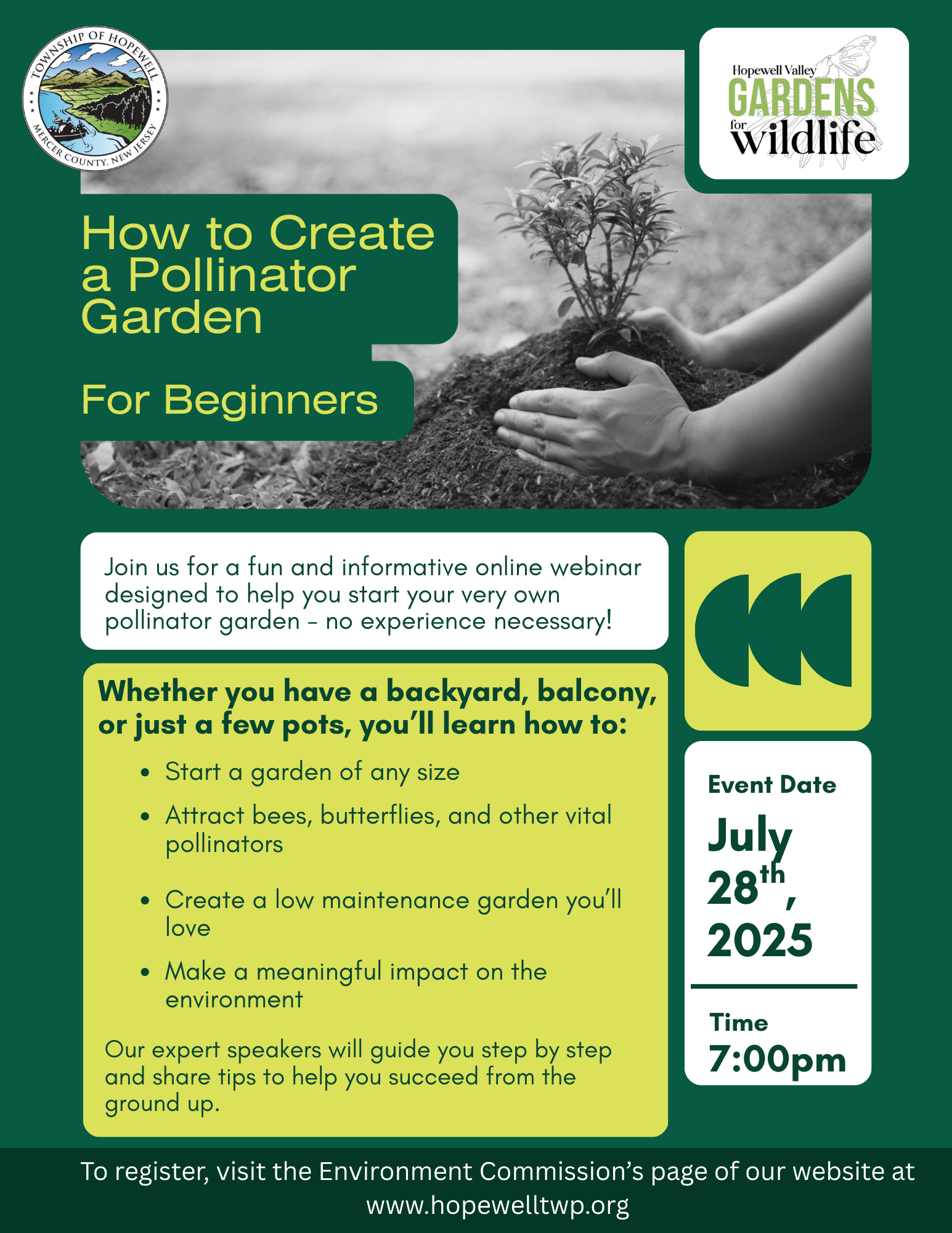 How to create a pollinator garden for beginners