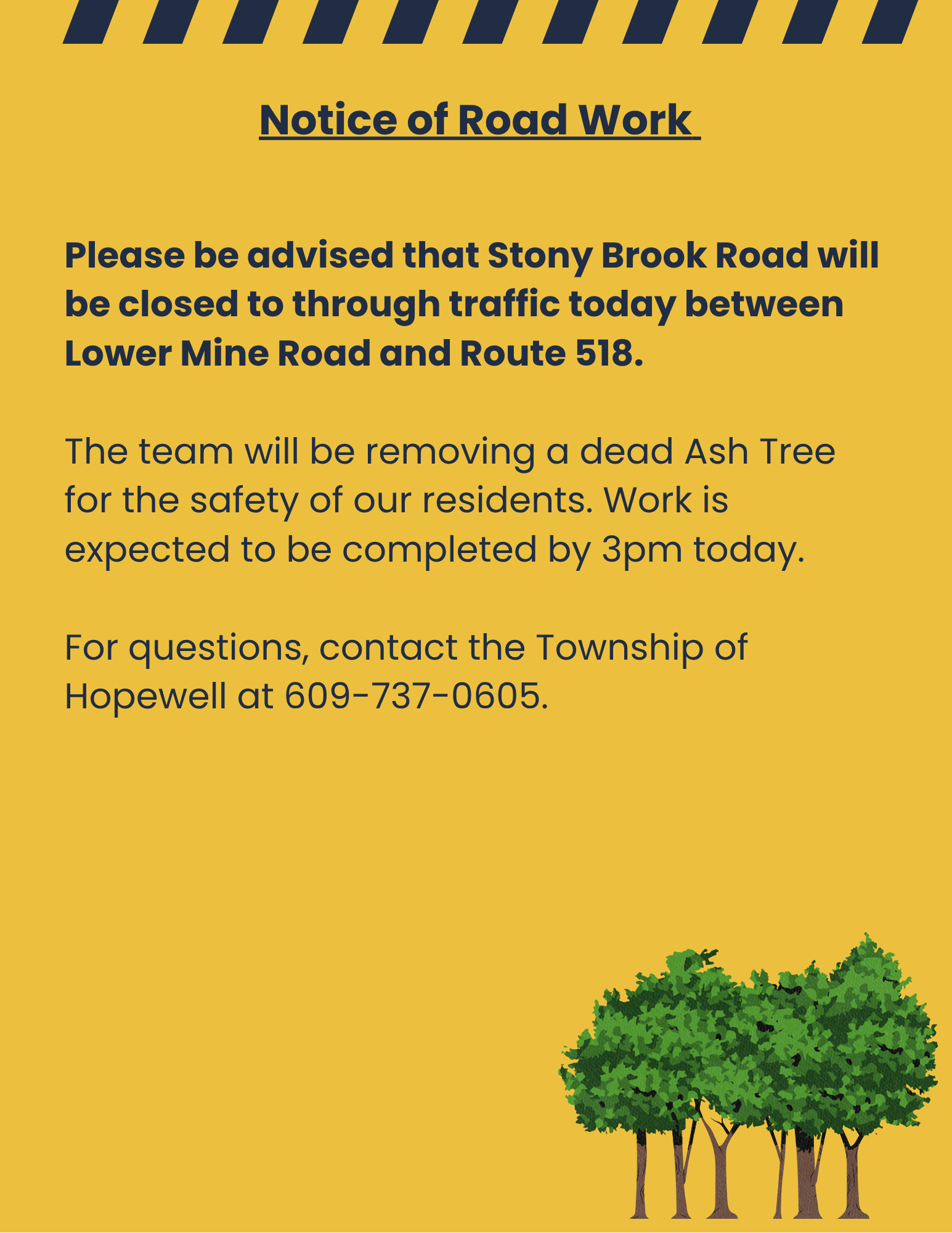 Road Work - Ash Tree 8/1
