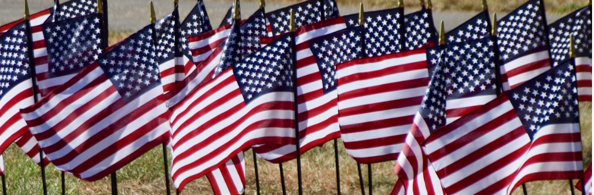 Photo 42 - American flags