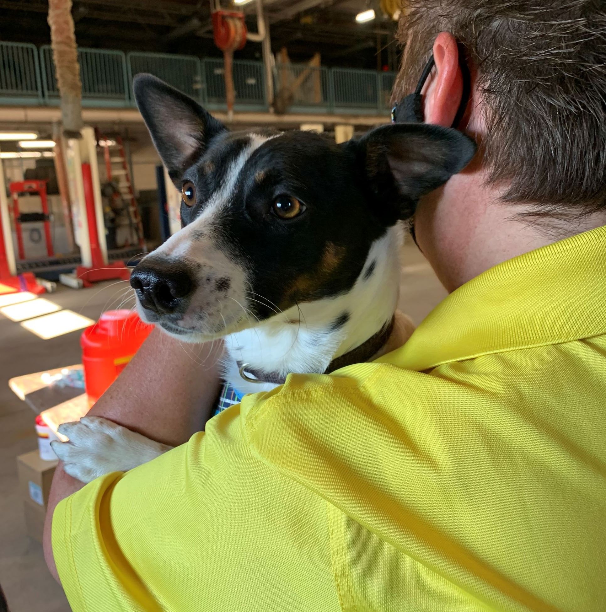 Man holding little dog, waiting for rabies vaccination