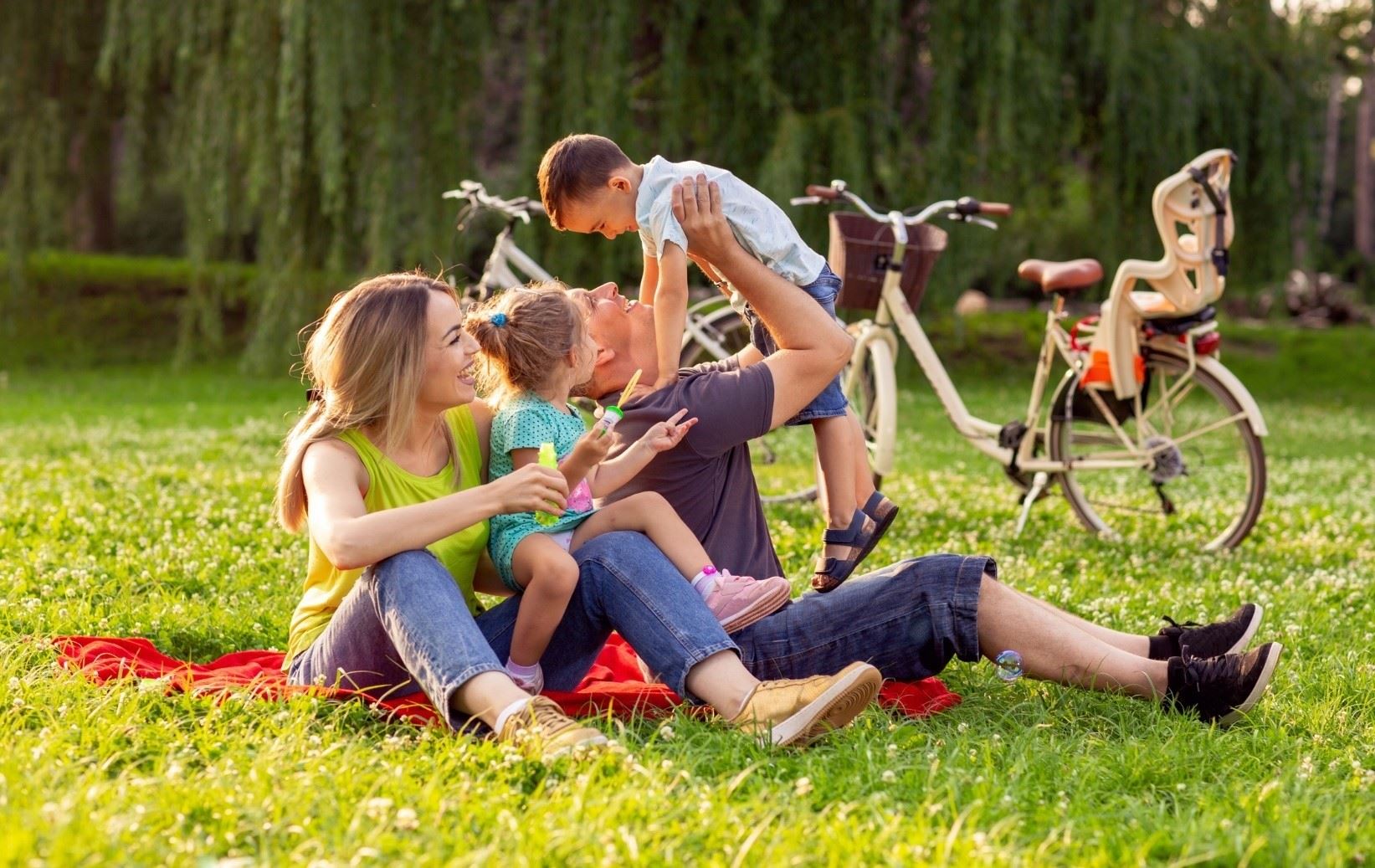 happy family at a picnic