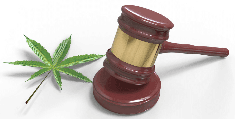 marijuana leaf and court gavel