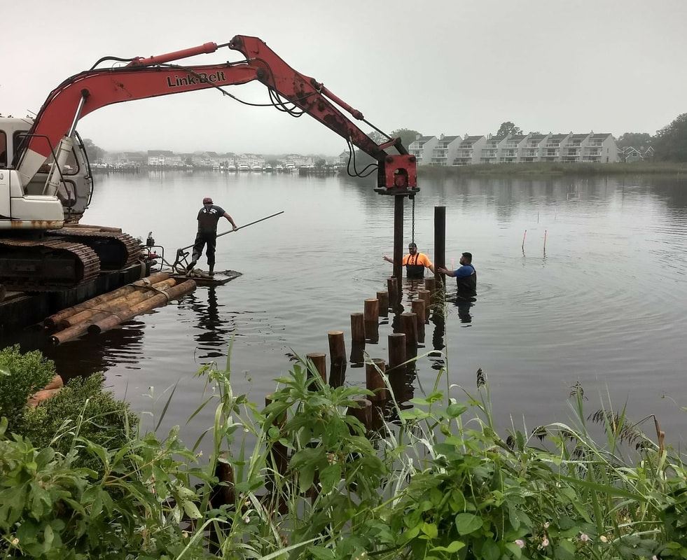 Pilings for a breakwater being installed along Beaverdam Creek at Slade Dale Sanctuary in Point Plea
