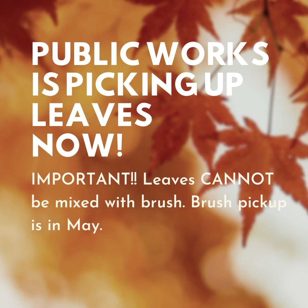 public works leaf pickup is now. no brush can be added to leaves