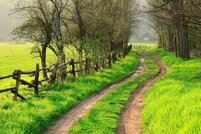 Picture of a field with 2 driving paths, a fence and trees.