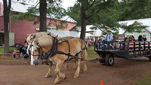 4H wagon-rides